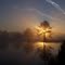 Sunrise Treeburst