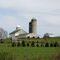 Barns and Silos