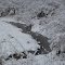 Creek (Winter)