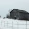 Horse and Barn