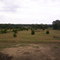 Field of Celina,TX