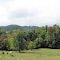 Near Parksville, Boyle County