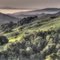 Mt. Diablo from Lucas Valley in the morning