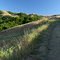 Loma Alta Fire Road, late afternoon
