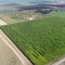 Large Corn Maze near Dixon