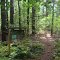 The Rocklot Preserve