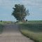 Highway Crossing