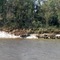 Tsunami layer at Moscow landing Tombigbee river