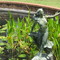 Azalea Park statue