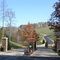 Youngcane Creek Settlement