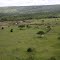Maasai Mara National Reserve, Kenya