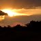 atardecer en masai Mara