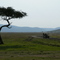 Safari with Saruni Camp