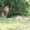 Lovely Family at Saruni Camp