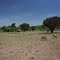 on the way to Masai Mara National Parc, Kenya