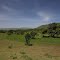 on the way to Masai Mara National Parc, Kenya