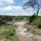 River in the savana, Narok District, Кения