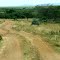 C12公路马赛马拉段(a section of C12, Masai Mara nearby)