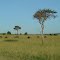 Beautiful landscape