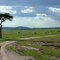 Masai Mara