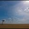 Lonely tree in Masai Mara I