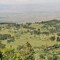 Kenya - Nakuru