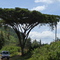 Kenya Safari 東非肯雅原野動物