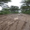 Road to Lake Baringo