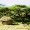 A house on Ol Kokwe Island