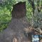Lake Baringo, guided walk; Termite mound, Termietenheuvel