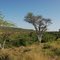 Lake Baringo; Rift valley