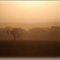 Sunset - 2
