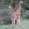 PN Nakuru. Kenia