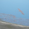 Lake Nakuru