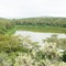 the crater