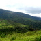 Above Naivasha