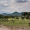 Kenya - Road to Crater Lake