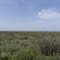 lush Marsabit
