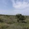 more lush Marsabit