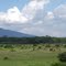 Around Lake Naivasha