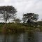 Lake Naivasha