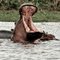Hippo yawning