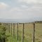 landing strip at great rift valley golf resort