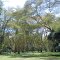 Marula Farm