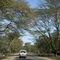 Close to Naivasha Lake