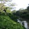 Malewa River