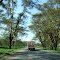 A104公路沿途风光(Scenery along Rd A104)