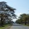 A104公路沿途风光(Scenery along Rd A104)