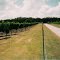 Flat Creek Estate Winery