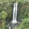 Thomson falls